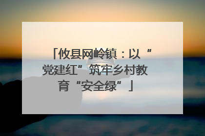 攸县网岭镇:以“党建红”筑牢乡村教育“安全绿”