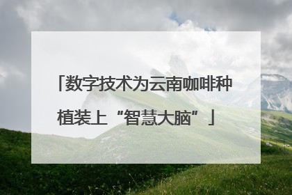 数字技术为云南咖啡种植装上“智慧大脑”