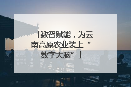 数智赋能，为云南高原农业装上“数字大脑”