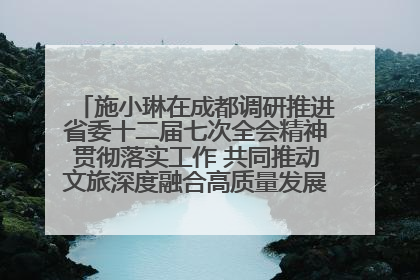 施小琳在成都调研推进省委十二届七次全会精神贯彻落实工作 共同推动文旅深度融合高质量发展 加快打造支柱产业民生产业幸福产业