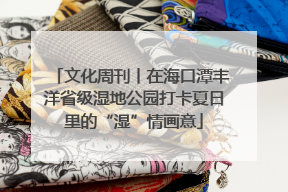 文化周刊丨在海口潭丰洋省级湿地公园打卡夏日里的“湿”情画意
