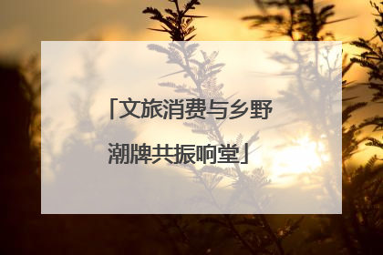 文旅消费与乡野潮牌共振响堂