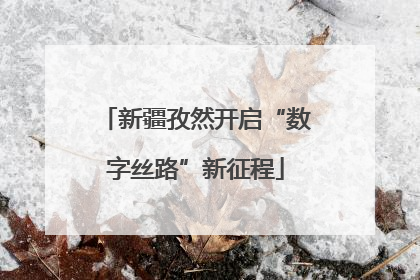 新疆孜然开启“数字丝路”新征程