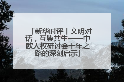 新华时评丨文明对话，互鉴共生——中欧人权研讨会十年之路的深刻启示