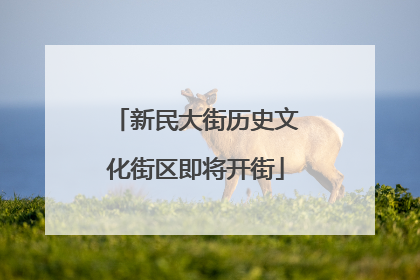 新民大街历史文化街区即将开街