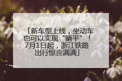 新车型上线，坐动车也可以实现“躺平”！7月1日起，浙江铁路出行惊喜满满
