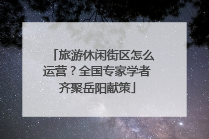 旅游休闲街区怎么运营？全国专家学者齐聚岳阳献策
