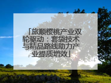 旅顺樱桃产业双轮驱动：套袋技术与精品路线助力产业提质增效