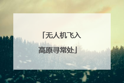 无人机飞入高原寻常处