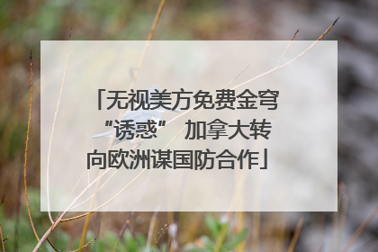 无视美方免费金穹“诱惑” 加拿大转向欧洲谋国防合作