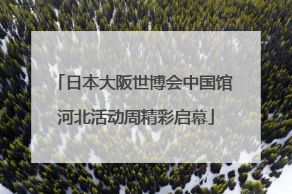 日本大阪世博会中国馆河北活动周精彩启幕
