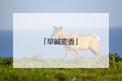 旱碱麦香