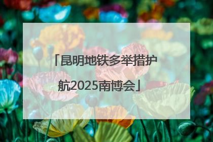 昆明地铁多举措护航2025南博会