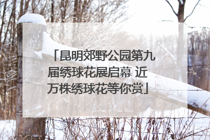 昆明郊野公园第九届绣球花展启幕 近万株绣球花等你赏