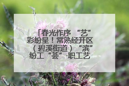 春光作序 “艺”彩纷呈！常熟经开区（碧溪街道）“滨”纷工“荟”·职工艺课堂点亮春日时光