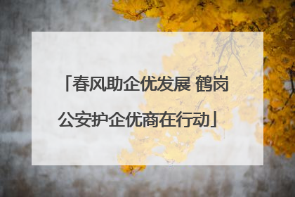 春风助企优发展 鹤岗公安护企优商在行动