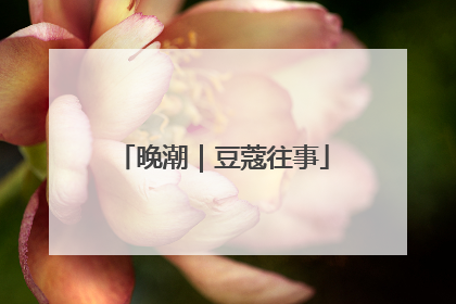 晚潮｜豆蔻往事