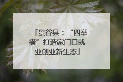 景谷县：“四举措”打造家门口就业创业新生态