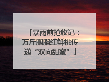 暴雨前抢收记：万斤胭脂红鲜桃传递“双向甜蜜”