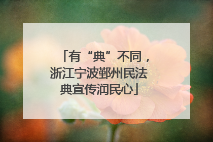 有“典”不同，浙江宁波鄞州民法典宣传润民心