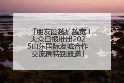 朋友圈越扩越宽！大众日报推出2025山东国际友城合作交流周特别报道