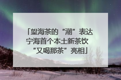 望海茶的“潮”表达 宁海首个本土新茶饮“又喝那茶”亮相