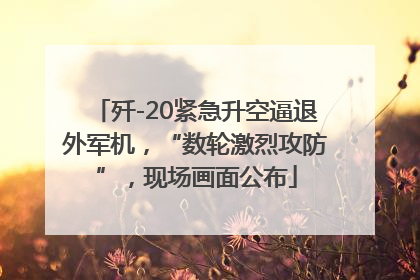 歼-20紧急升空逼退外军机，“数轮激烈攻防”，现场画面公布