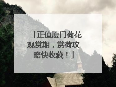 正值厦门荷花观赏期，赏荷攻略快收藏！