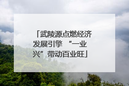 武陵源点燃经济发展引擎 “一业兴”带动百业旺