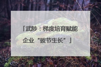 武陟：梯度培育赋能企业“拔节生长”