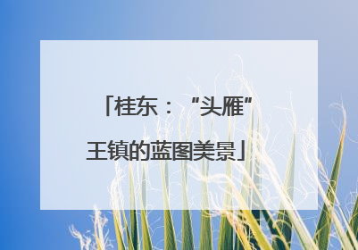 桂东：“头雁”王镇的蓝图美景