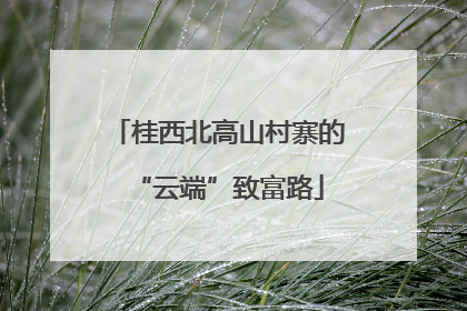 桂西北高山村寨的“云端”致富路