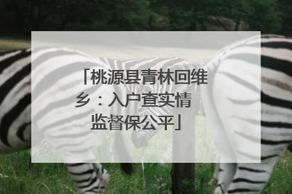 桃源县青林回维乡：入户查实情 监督保公平