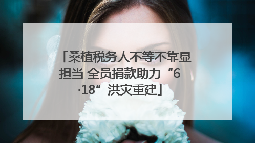 桑植税务人不等不靠显担当 全员捐款助力“6·18”洪灾重建