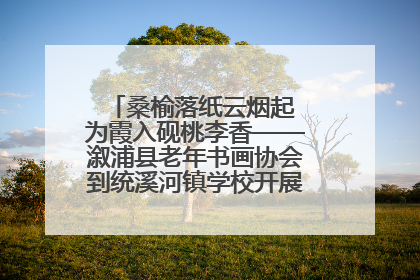 桑榆落纸云烟起 为霞入砚桃李香——溆浦县老年书画协会到统溪河镇学校开展书画进校园活动