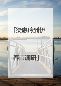 梁惠玲到伊春市调研