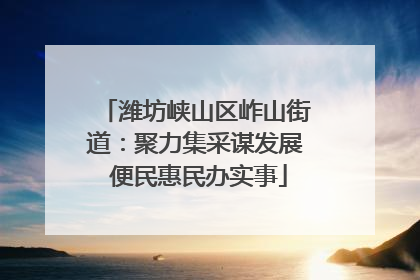 潍坊峡山区岞山街道：聚力集采谋发展 便民惠民办实事