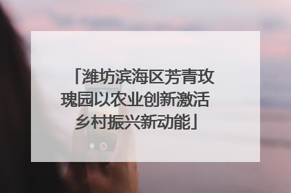 潍坊滨海区芳青玫瑰园以农业创新激活乡村振兴新动能