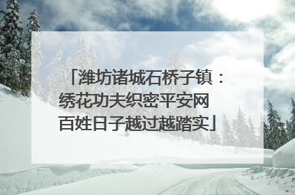 潍坊诸城石桥子镇：绣花功夫织密平安网 百姓日子越过越踏实