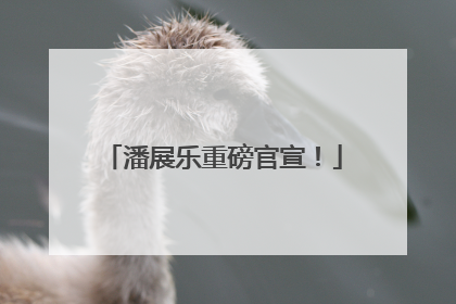 潘展乐重磅官宣！