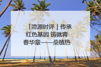 澧源时评｜传承红色基因 铸就青春华章——桑植热土上的青春长征
