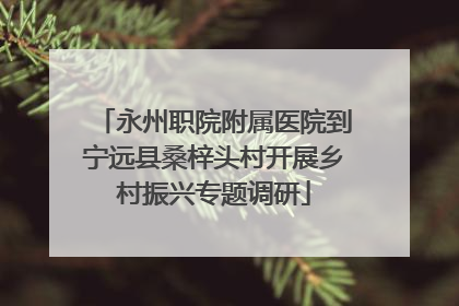 永州职院附属医院到宁远县桑梓头村开展乡村振兴专题调研
