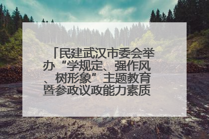 民建武汉市委会举办“学规定、强作风、树形象”主题教育暨参政议政能力素质提升培训班