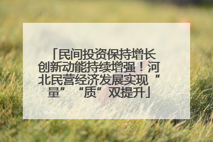 民间投资保持增长 创新动能持续增强！河北民营经济发展实现“量”“质”双提升