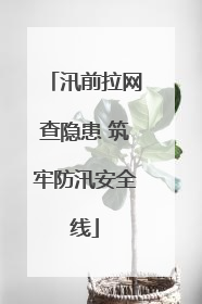 汛前拉网查隐患 筑牢防汛安全线