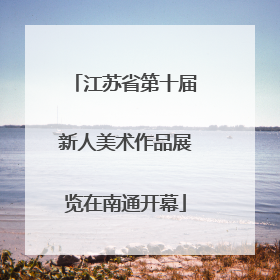 江苏省第十届新人美术作品展览在南通开幕