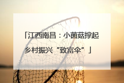 江西南昌：小菌菇撑起乡村振兴“致富伞”