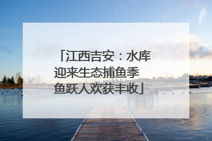 江西吉安：水库迎来生态捕鱼季 鱼跃人欢获丰收