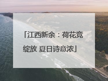 江西新余：荷花竞绽放 夏日诗意浓