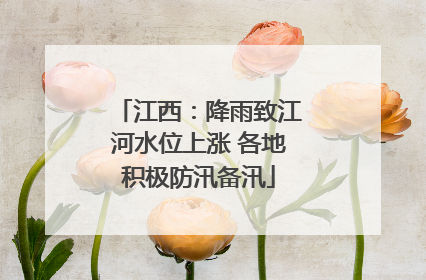 江西：降雨致江河水位上涨 各地积极防汛备汛